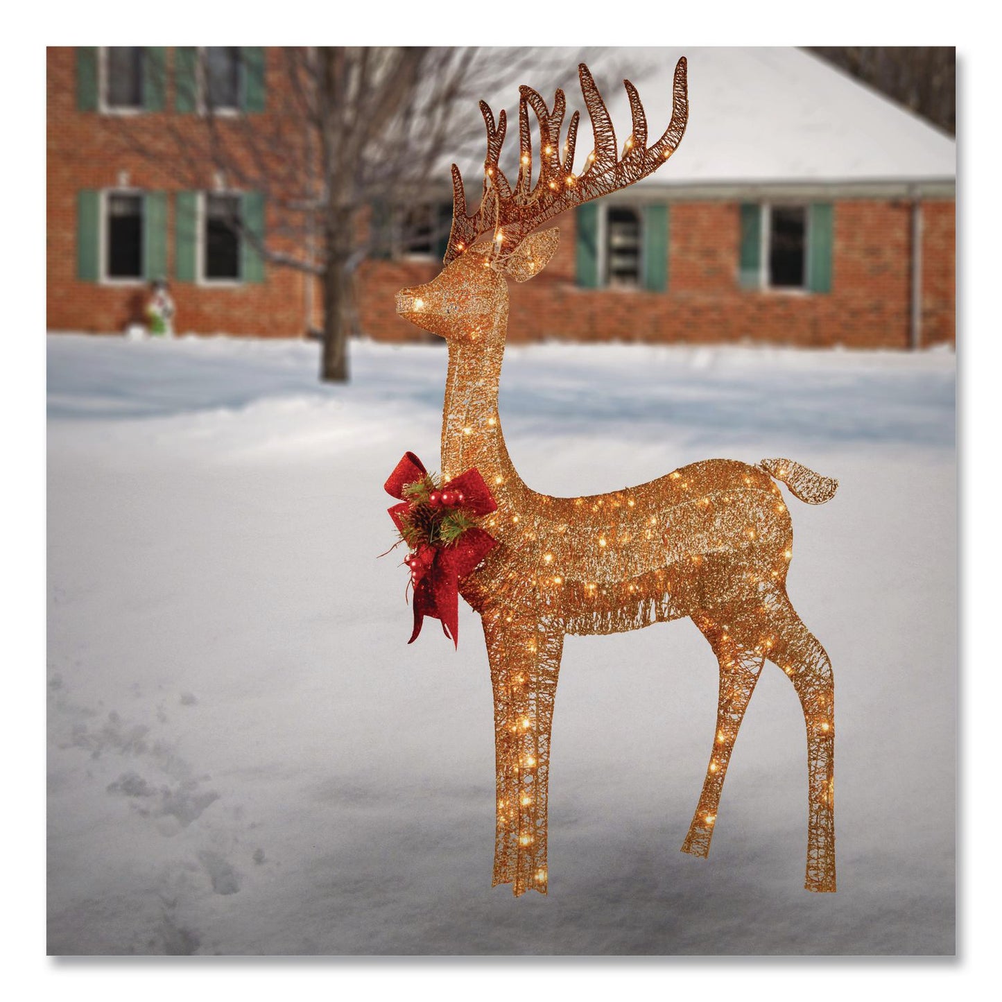 Pre-Lit Standing Reindeer, AC Powered, Warm White LED Lights, 20.5" x  27" x 48", Champagne