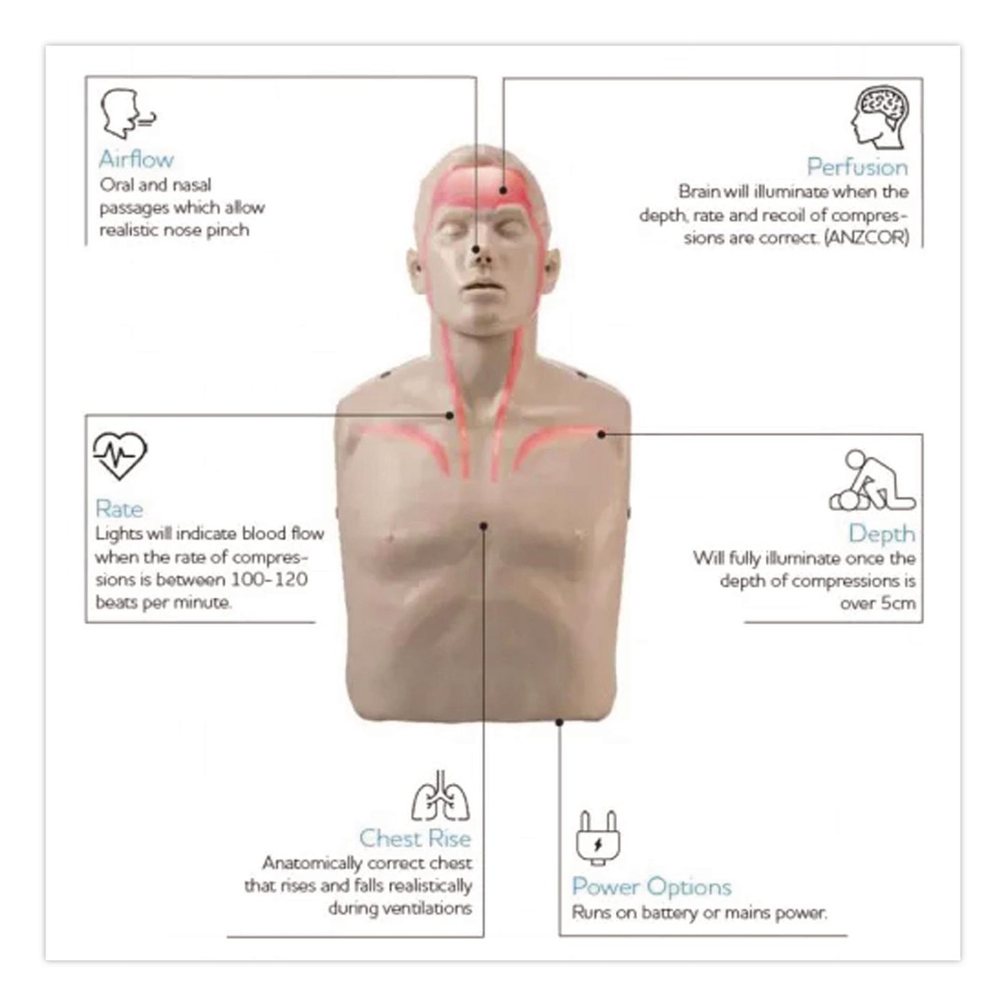 Brayden LED CPR Manikin with Blood Flow Circulation (Red Lights)