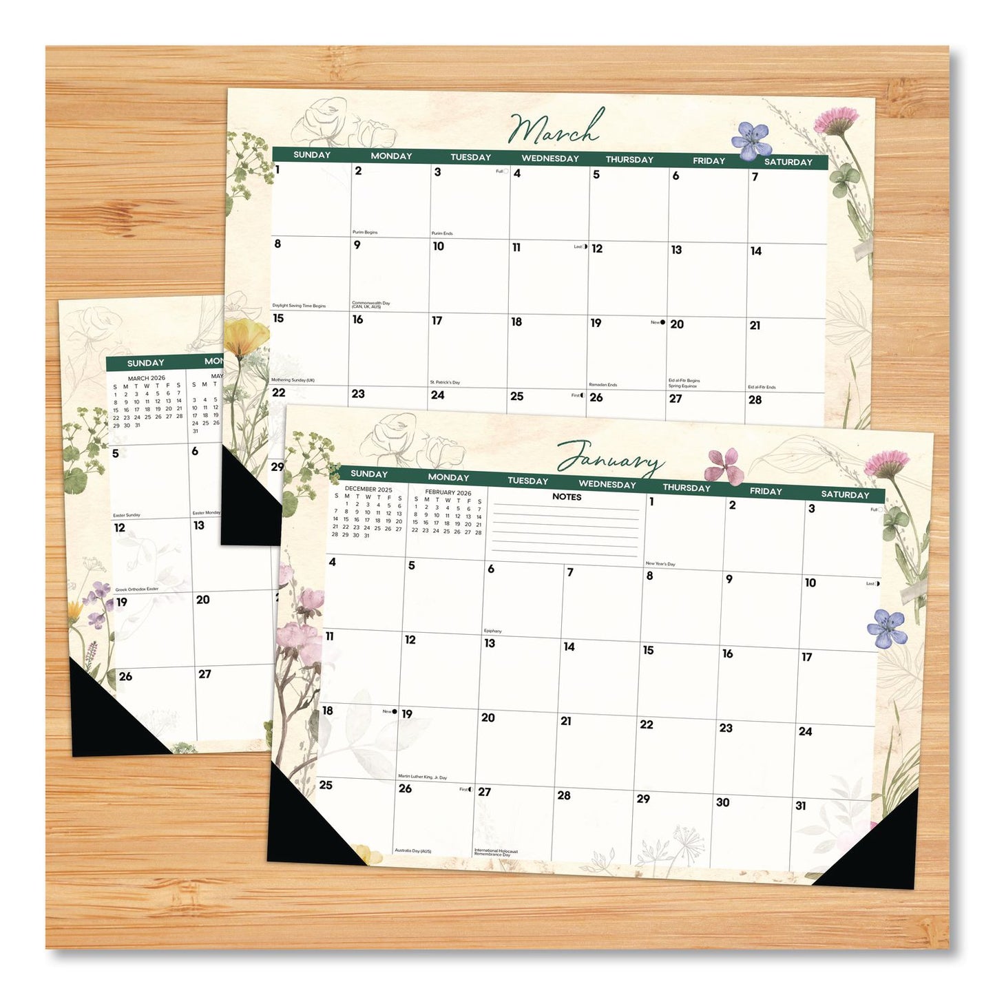 Botanical Garden Monthly Desk Pad Calendar, 17 x 12, Cream/Multicolor Sheets, Black Headband/Corners, 12-Month (Jan-Dec) 2026